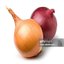 funny onion song