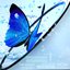 The Weight Of Blue Definitive
