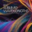 Sublime Wavelengths: The Cosmic Bliss Of FM Synthesis