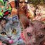 Baptized Satanic Kitten