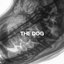 The Dog