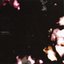 Tomorrow Fades Away