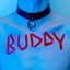BUDDY - Single