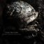 Entre Ossos E Agulhas - Single