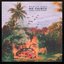 No Saints Under Palm Shade - EP