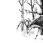 Short History Of Decay