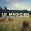 Le Magicien (feat. Petite Meller) - Single