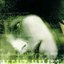 In My Restless Dreams - Single