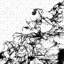 [brq 039] sqware - squeeze it to the last drop e.p.