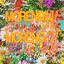 moreno fm