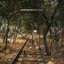 Lost Tracks