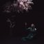 As the Light Left [Explicit]