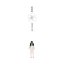 孤独的花朵 the Lonely Flower