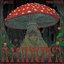 Forsvinner - Single