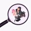 clue / talk