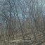 AMBIENT SELECTIONS (SPRING 2025)