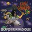 Escape From Madhouse