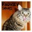 Strays - Single
