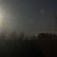morning sun