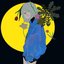 醗酵集「YELLOW」