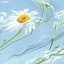 Daisy (with 969)