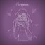 Honeymoon - Single