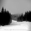 The Bitterness Prophecy