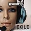 Exile (Single Edit)
