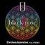 black rose