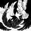Crow+Dove