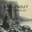 Nyctophilia