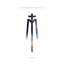 Pain is Forever and This is the End [Explicit]
