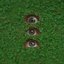 Anxious Eyes