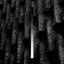 In Praise of Shadows