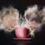 Stick Around For Tea