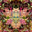 Carnival of Peculiarities - Single