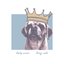 King Cash