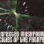 Cities of the Future