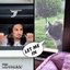 Let Me In