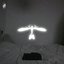 MOTH