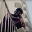 Port d’Anvers - Single