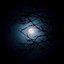 Under The Same Moon