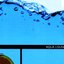 Aqua Lounge