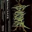 BEATEN INTO PARESTHESIA - EP