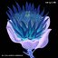 Huir - Single