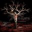 The Nameless Disease (10th Anniversary Edition)