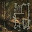Wizardry in the depth of the woods
