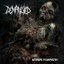 Anthropic Decomposition [Explicit]