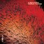 A Beautiful World To Lose [Explicit]