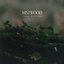 Forest Mystique